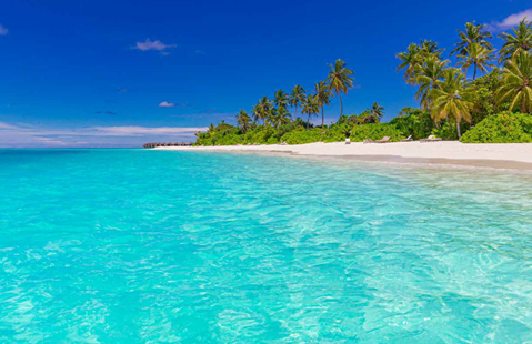 COASTAL PARADISE